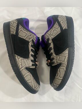 Nike Dunk SB Low Copperhead Dashawn Jordan
